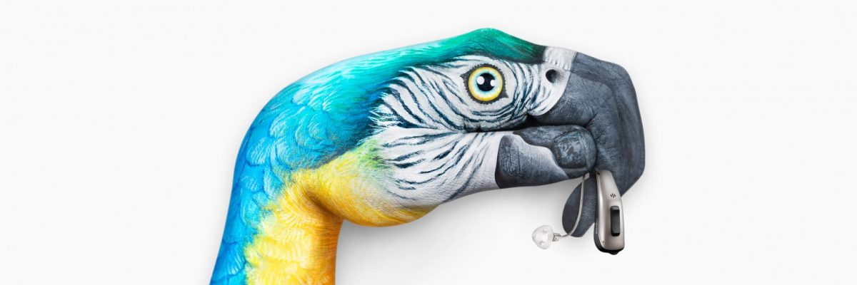 Pure-13-Nx_keyvisual_Parrot_background_3840x1280px-1560x520